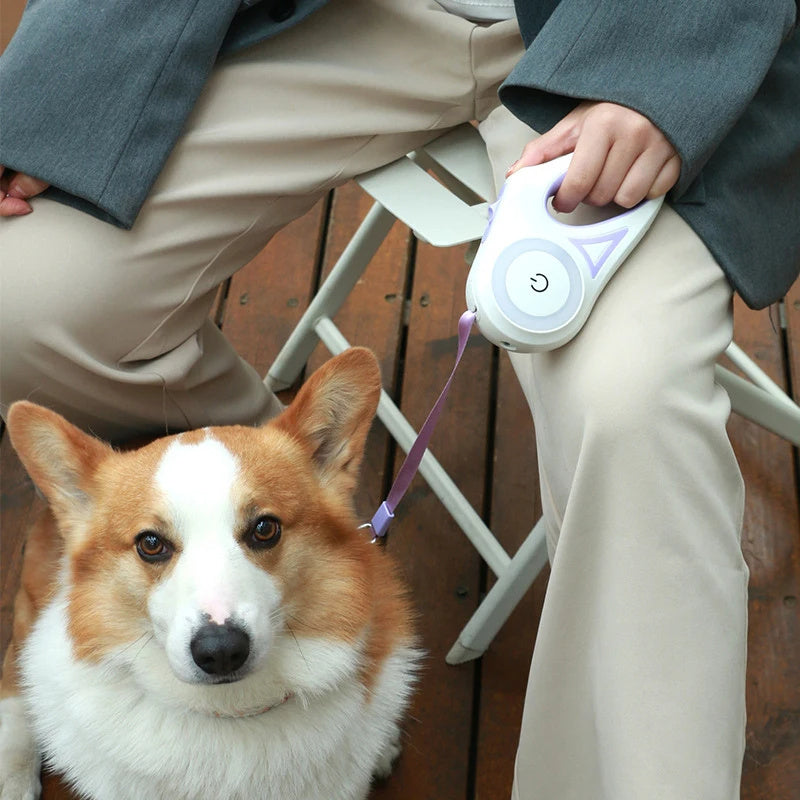 Dog Leash Light Retractable Pet